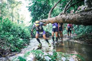 BIB: 
                            <button type="button" onclick="openModal(25435681)" class="btn btn-primary btn-sm float-right btn-popup" data-toggle="modal" data-target=".modal-high-quality">
                        <i class="fas fa-shopping-cart"></i> Add to Cart
                    </button>
                                            <button type="button" onclick="isThisMe(25435681, true)" class="btn btn-success btn-sm float-right btn-popup btn-isme hidden" data-toggle="tooltip" data-placement="bottom" title="นี่คือรูปของคุณใช่ไหม คลิกที่นี่เพื่อเอาเข้าอัลบั้ม">
                        <i class="fas fa-plus"></i> Add to album
                    </button>
                    <button type="button" onclick="isThisMe(25435681, false)" class="btn btn-warning btn-sm float-right btn-popup btn-isnotme hidden">
                        <i class="fas fa-ban"></i> Remove from album
                    </button>